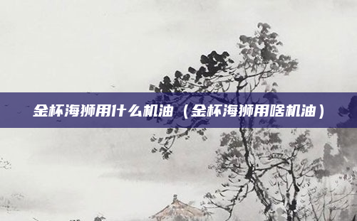 金杯海狮用什么机油（金杯海狮用啥机油）