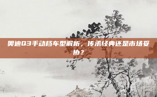 奥迪Q3手动档车型解析，传承经典还是市场妥协？