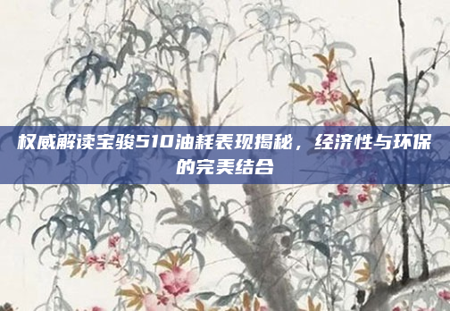 权威解读宝骏510油耗表现揭秘，经济性与环保的完美结合