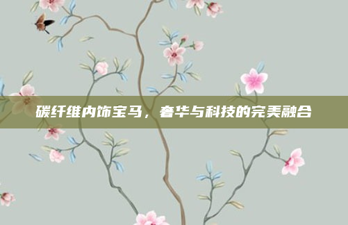 碳纤维内饰宝马,奢华与科技的完美融合