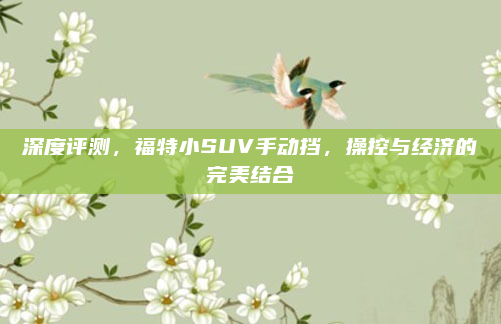 深度评测,福特小SUV手动挡,操控与经济的完美结合