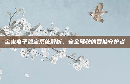 宝来电子稳定系统解析，安全驾驶的智能守护者