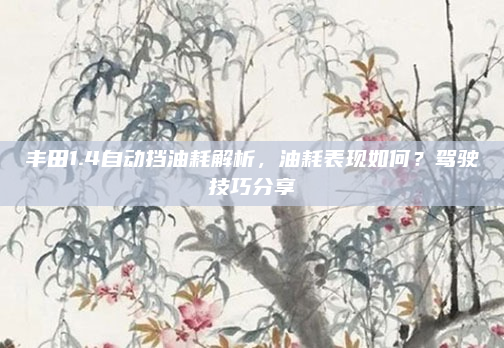 丰田1.4自动挡油耗解析，油耗表现如何？驾驶技巧分享