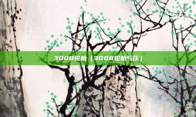 3008轮胎（3008轮胎气压）