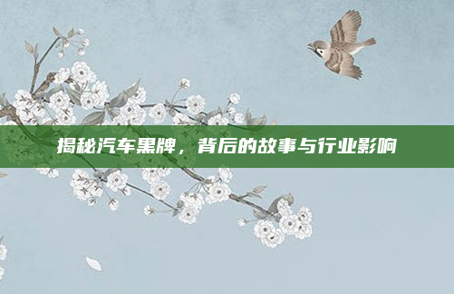 揭秘汽车黑牌,背后的故事与行业影响
