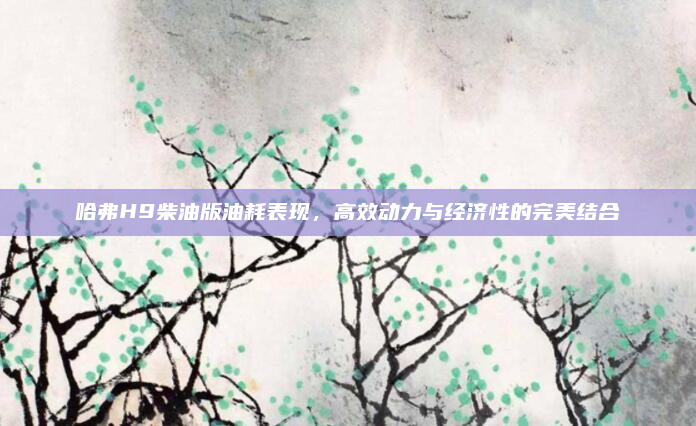 哈弗H9柴油版油耗表现，高效动力与经济性的完美结合