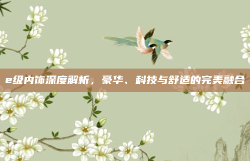 e级内饰深度解析，豪华、科技与舒适的完美融合