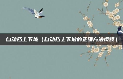 自动挡上下坡(自动挡上下坡的正确方法视频)