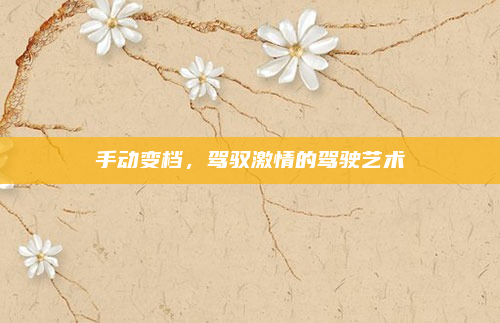手动变档，驾驭激情的驾驶艺术