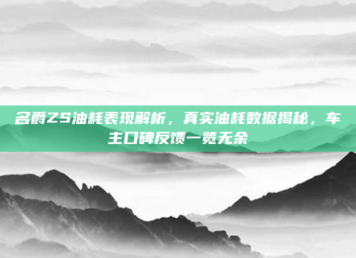名爵ZS油耗表现解析,真实油耗数据揭秘,车主口碑反馈一览无余
