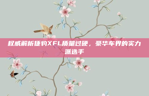 权威解析捷豹XFL质量过硬,豪华车界的实力派选手