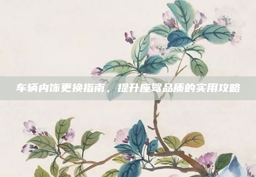 车辆内饰更换指南，提升座驾品质的实用攻略