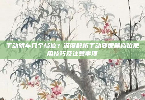 手动轿车几个档位？深度解析手动变速器档位使用技巧及注意事项