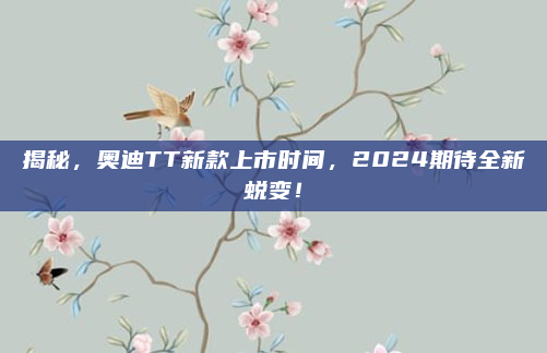 揭秘，奥迪TT新款上市时间，2024期待全新蜕变！