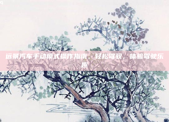 远景汽车手动模式操作指南，轻松驾驭，体验驾驶乐趣