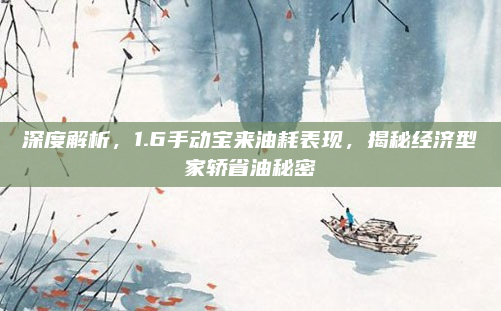 深度解析，1.6手动宝来油耗表现，揭秘经济型家轿省油秘密