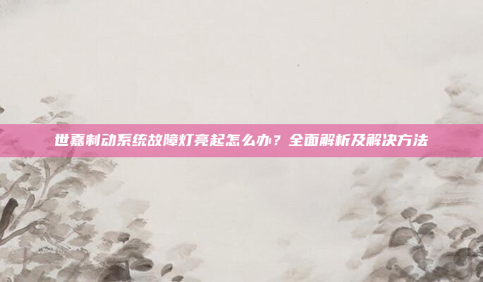 世嘉制动系统故障灯亮起怎么办?全面解析及解决方法