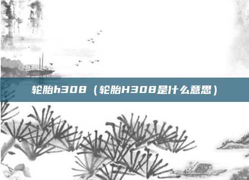 轮胎h308（轮胎H308是什么意思）
