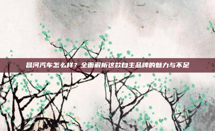 昌河汽车怎么样?全面解析这款自主品牌的魅力与不足