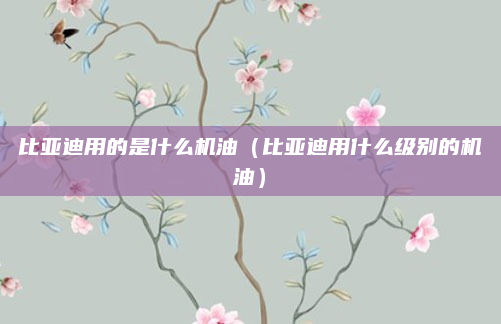 比亚迪用的是什么机油（比亚迪用什么级别的机油）