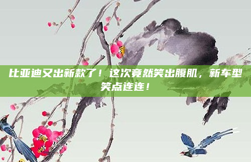 比亚迪又出新款了！这次竟然笑出腹肌，新车型笑点连连！