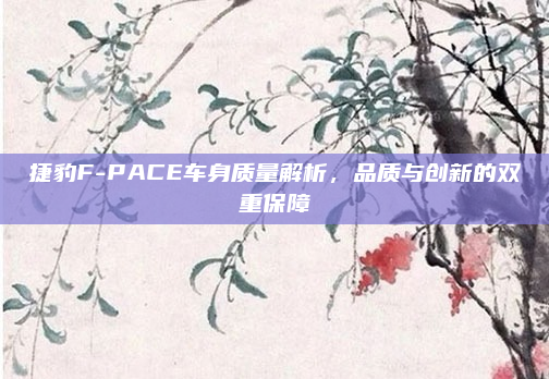 捷豹F-PACE车身质量解析，品质与创新的双重保障