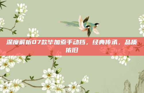 深度解析07款毕加索手动挡，经典传承，品质依旧