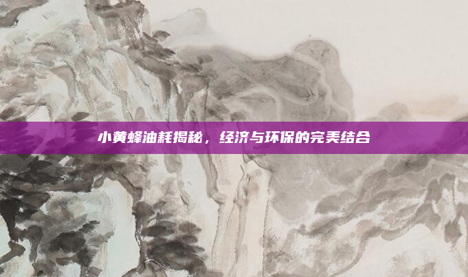 小黄蜂油耗揭秘，经济与环保的完美结合