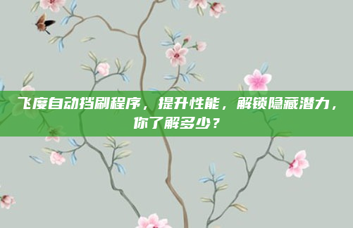 飞度自动挡刷程序，提升性能，解锁隐藏潜力，你了解多少？