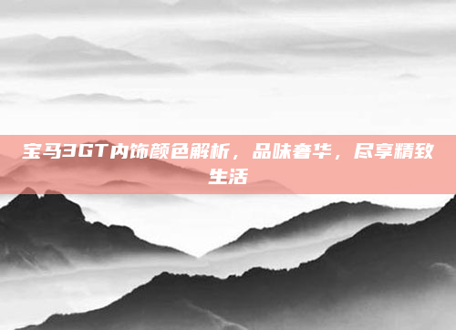 宝马3GT内饰颜色解析，品味奢华，尽享精致生活