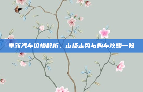 阜新汽车价格解析，市场走势与购车攻略一览