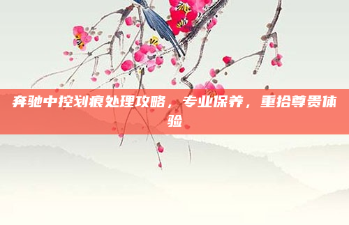 奔驰中控划痕处理攻略，专业保养，重拾尊贵体验