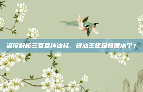 深度解析三菱菱绅油耗，省油王还是普通水平？