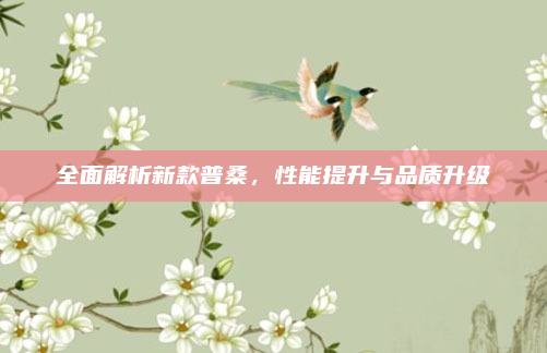 全面解析新款普桑，性能提升与品质升级
