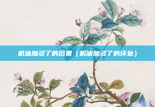 机油加多了的后果(机油加多了的坏处)