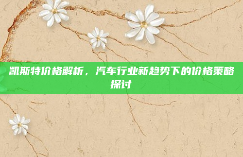 凯斯特价格解析，汽车行业新趋势下的价格策略探讨
