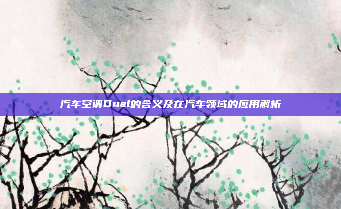 汽车空调Dual的含义及在汽车领域的应用解析