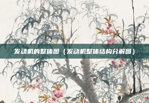 发动机的整体图(发动机整体结构分解图)