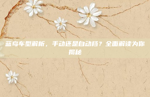 蓝鸟车型解析，手动还是自动档？全面解读为你揭秘