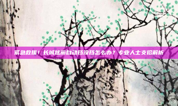 紧急救援！长城炫丽自动挡没挡怎么办？专业人士支招解析