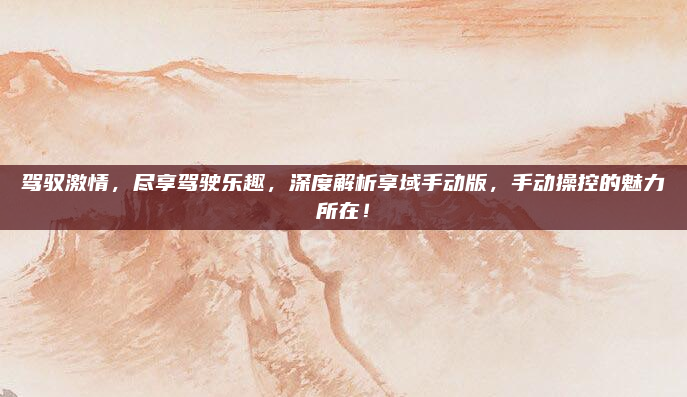 驾驭激情，尽享驾驶乐趣，深度解析享域手动版，手动操控的魅力所在！