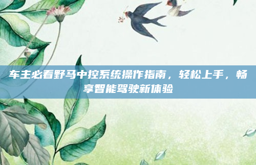 车主必看野马中控系统操作指南，轻松上手，畅享智能驾驶新体验