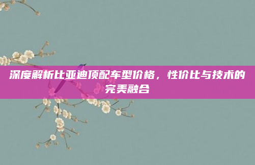 深度解析比亚迪顶配车型价格，性价比与技术的完美融合