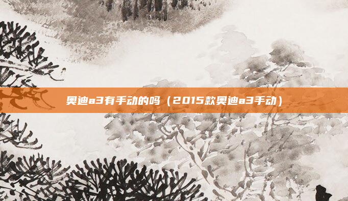 奥迪a3有手动的吗（2015款奥迪a3手动）