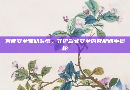 智能安全辅助系统，守护驾驶安全的智能助手揭秘