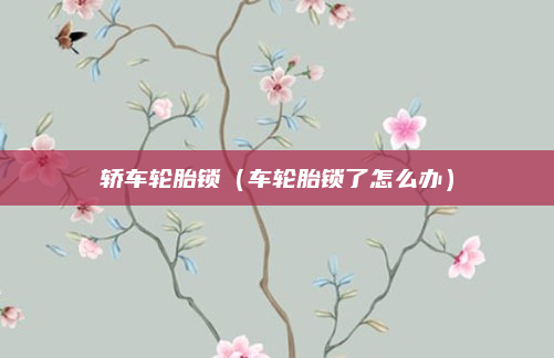 轿车轮胎锁（车轮胎锁了怎么办）