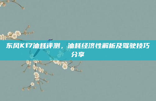 东风K17油耗评测，油耗经济性解析及驾驶技巧分享