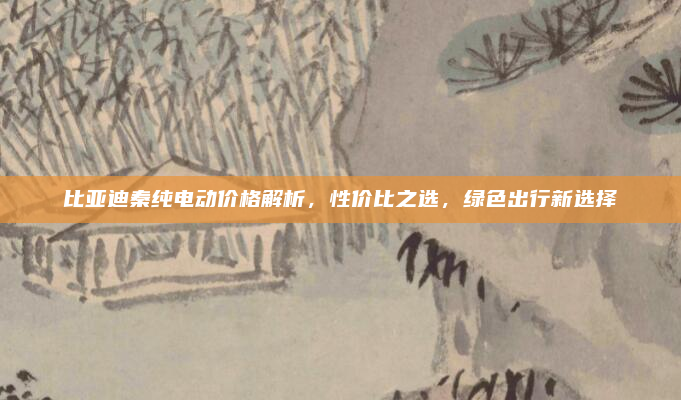 比亚迪秦纯电动价格解析，性价比之选，绿色出行新选择