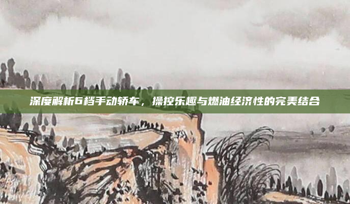 深度解析6档手动轿车，操控乐趣与燃油经济性的完美结合