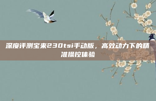 深度评测宝来230tsi手动版，高效动力下的精准操控体验